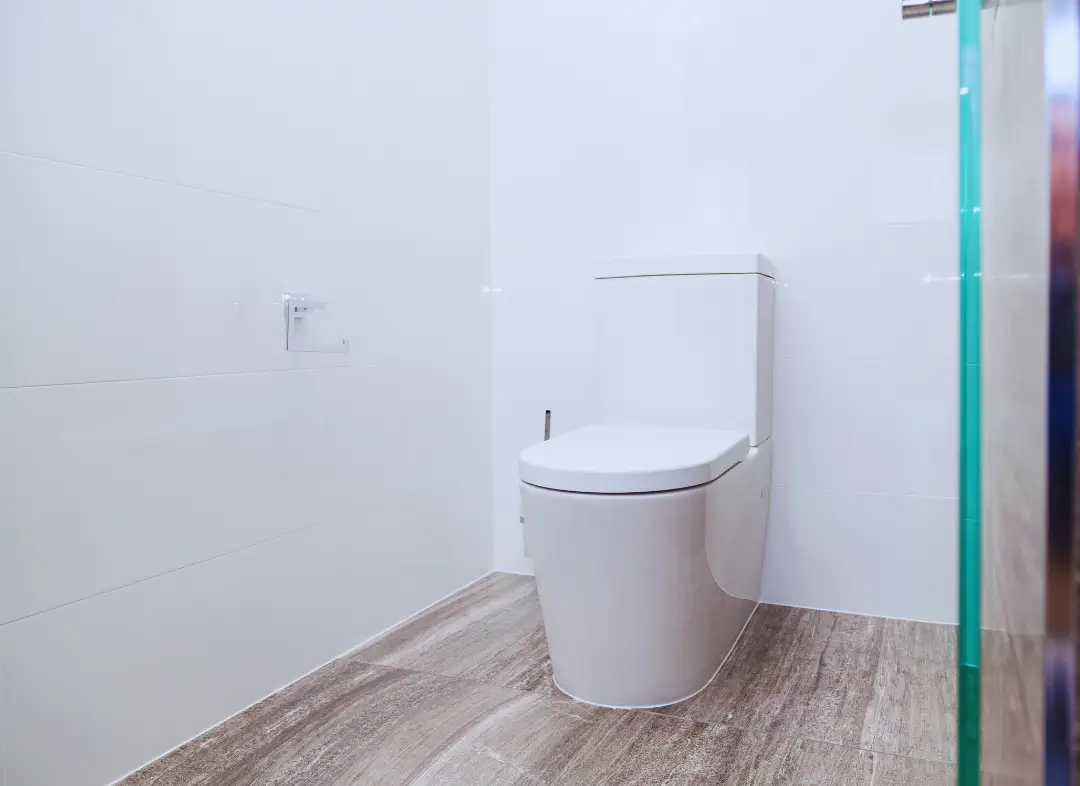 Remplacement de wc Mondonville